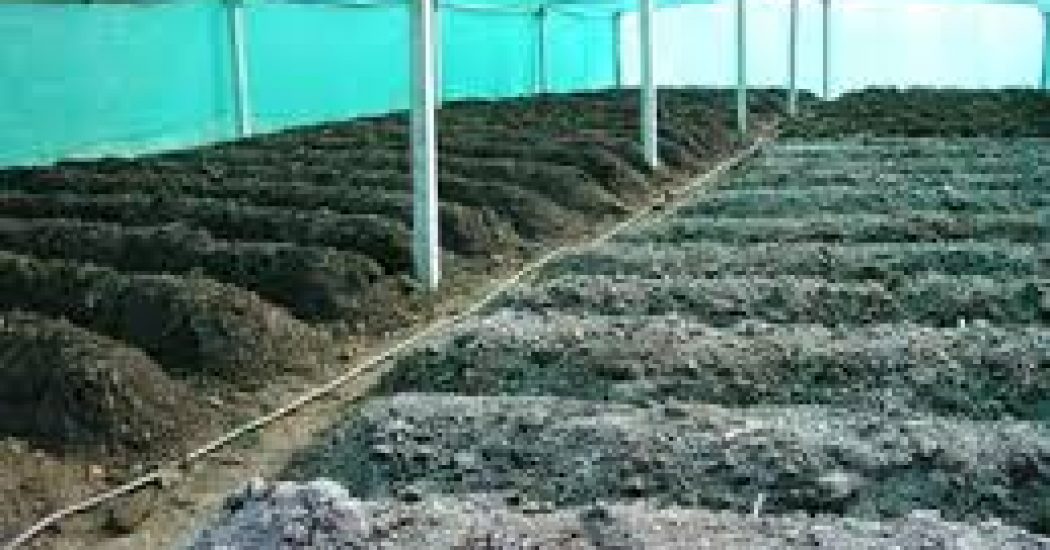 Fertilizer Project Plan How To Start Preparation Guide