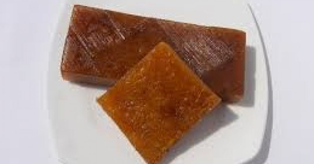 Mango Fruit Bar Processing How to Start Business Plan Guide